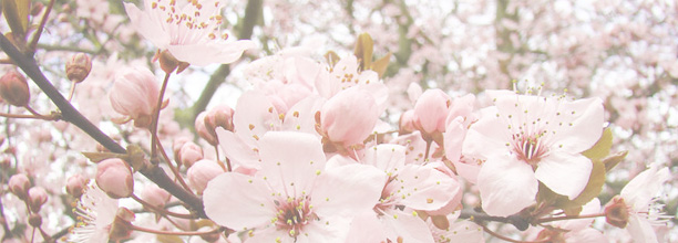 Shopping: Pink prettiness!