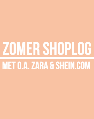 Shoplog met o.a. ZARA & Shein.com