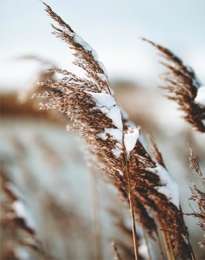 Leuke winterjassen die je moet zien