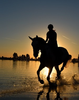 persoon op paard in de branding